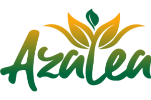 Azalea Holdings logo