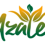 Header-Logo