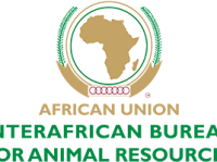 logo-footer